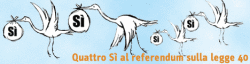 cicogne