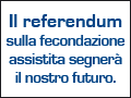 referendum